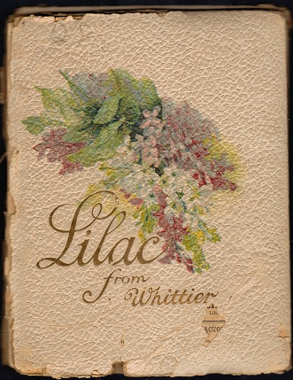 Lilac Image for Lilac